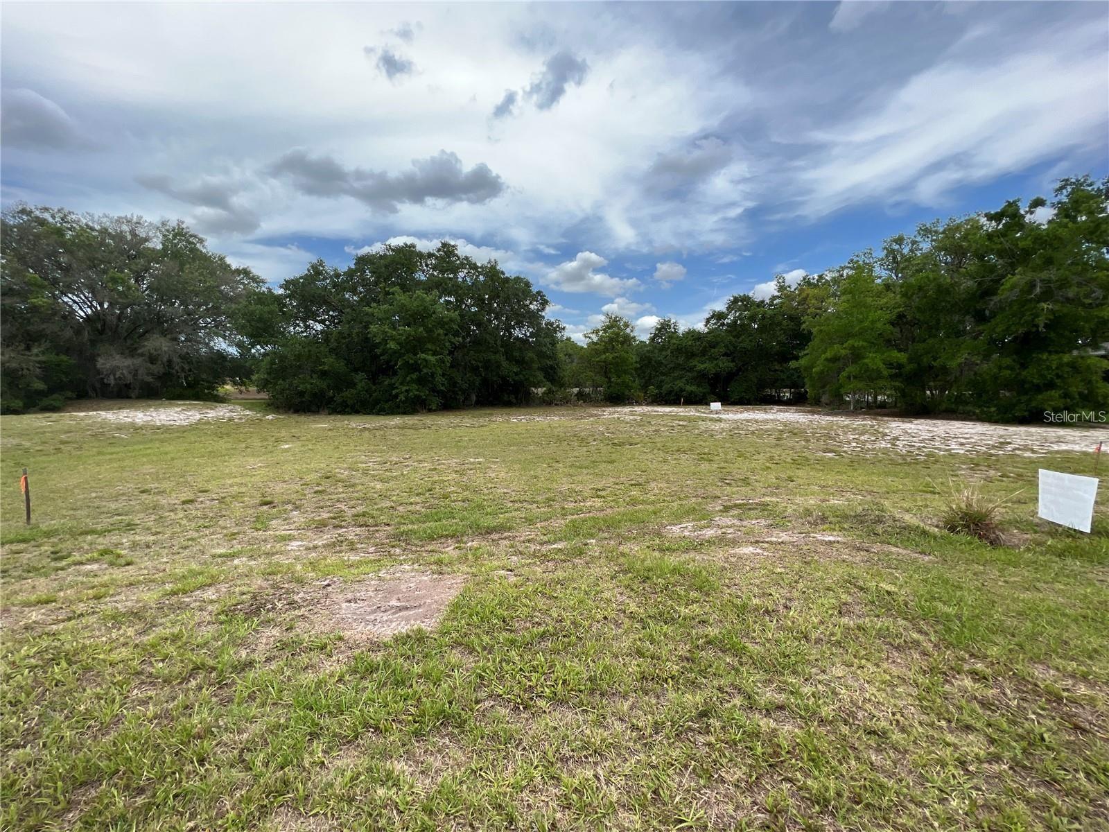 12917 Seronera Valley Ct Property Photo 4