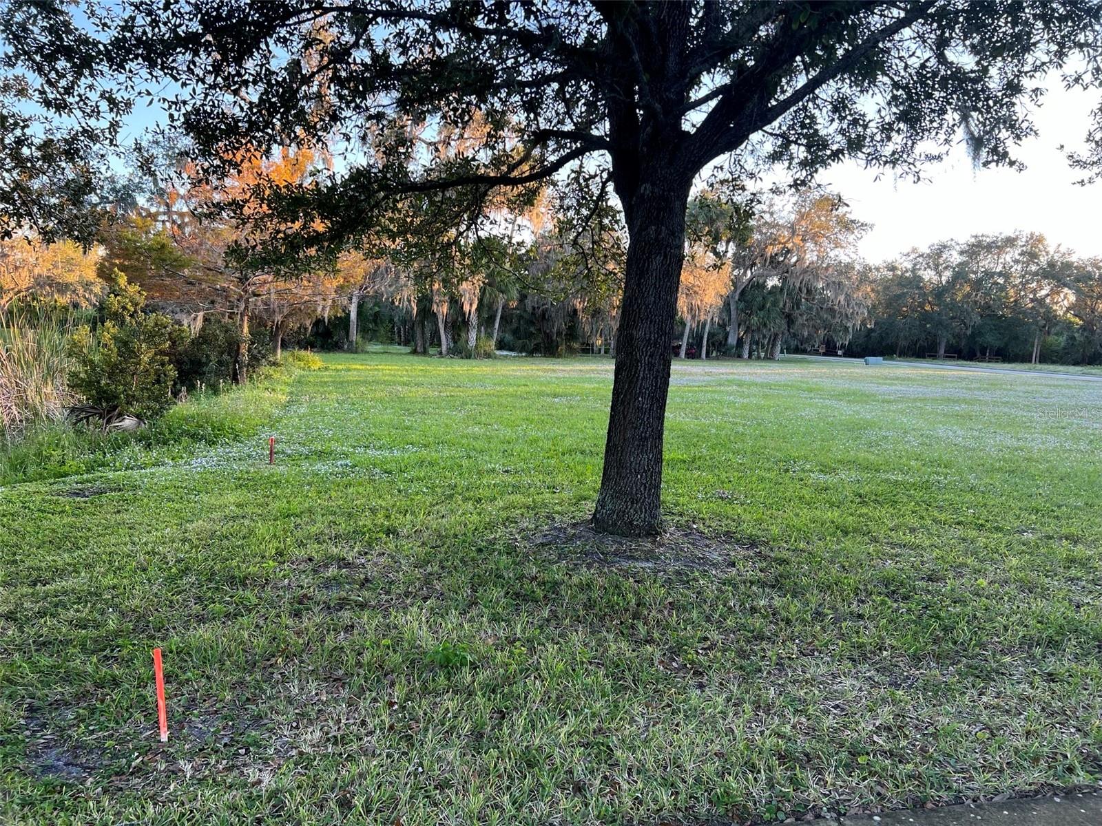 11324 Ganesh Way Property Photo 7