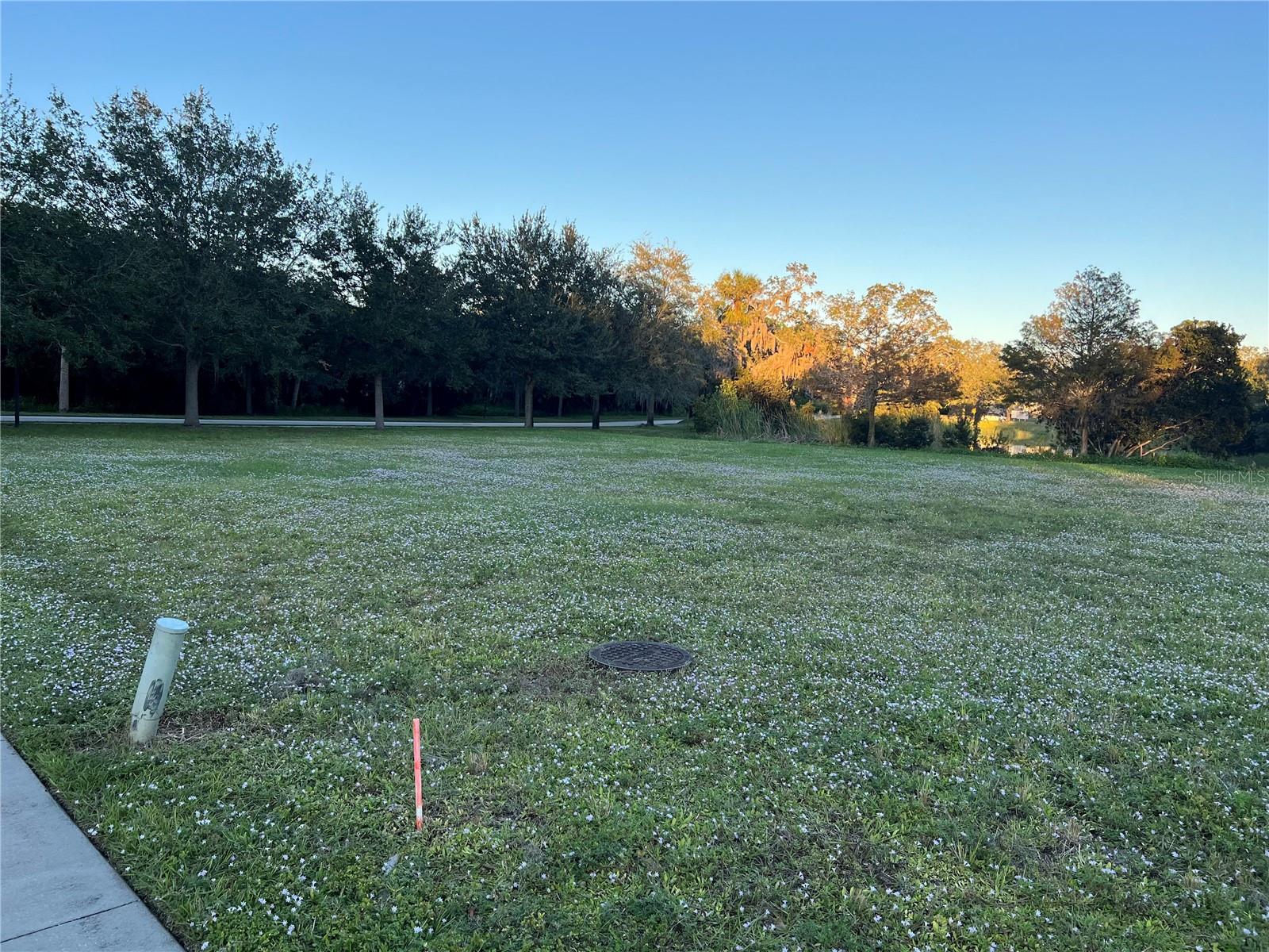 11324 Ganesh Way Property Photo 15