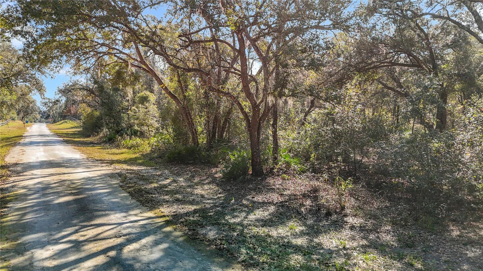 7241 Sonia Ave Property Photo 10