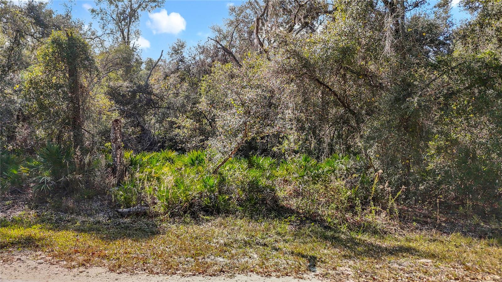7241 Sonia Ave Property Photo 11
