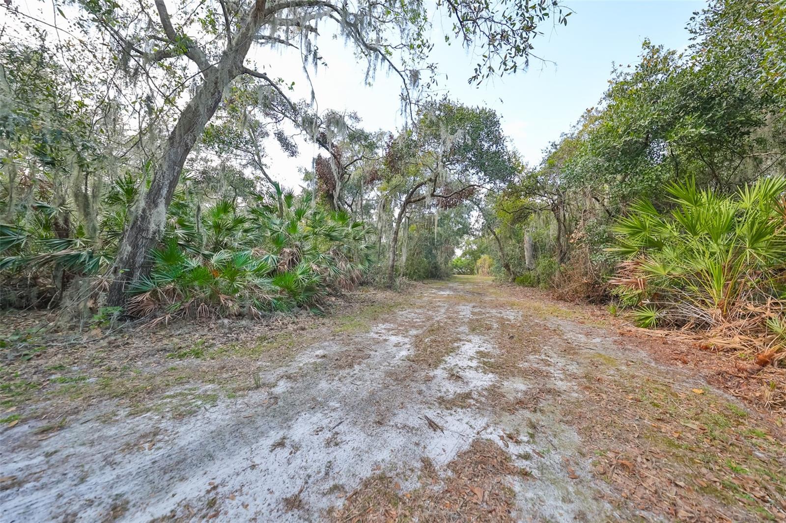 8839 Richmond St Property Photo 14
