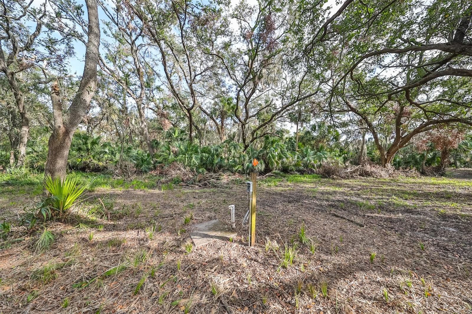 8839 Richmond St Property Photo 23