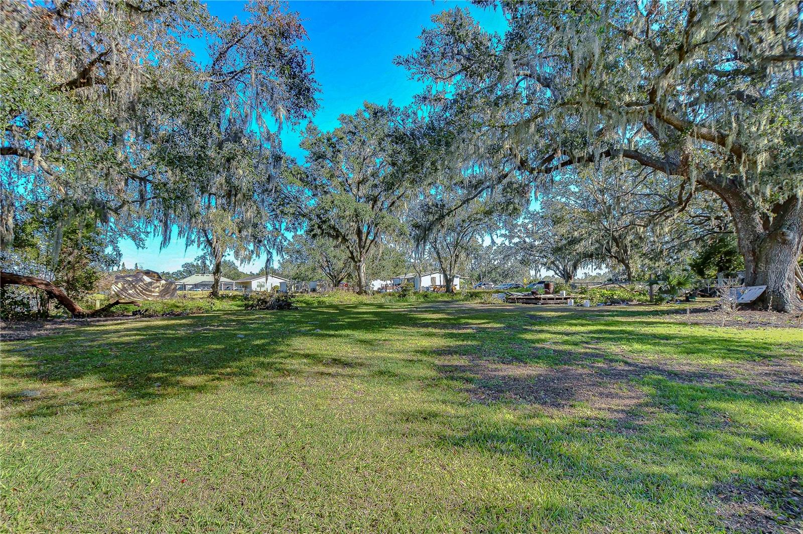 1406 E Knights Griffin Rd Property Photo 8