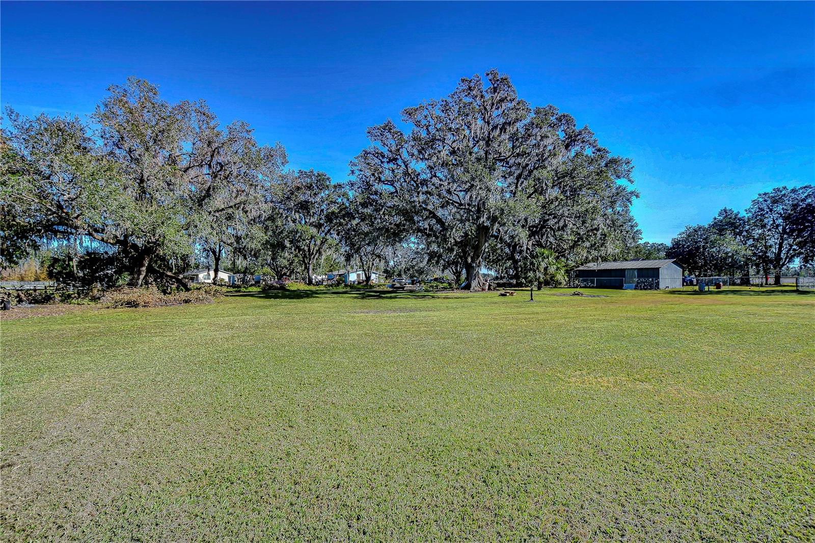 1406 E Knights Griffin Rd Property Photo 10