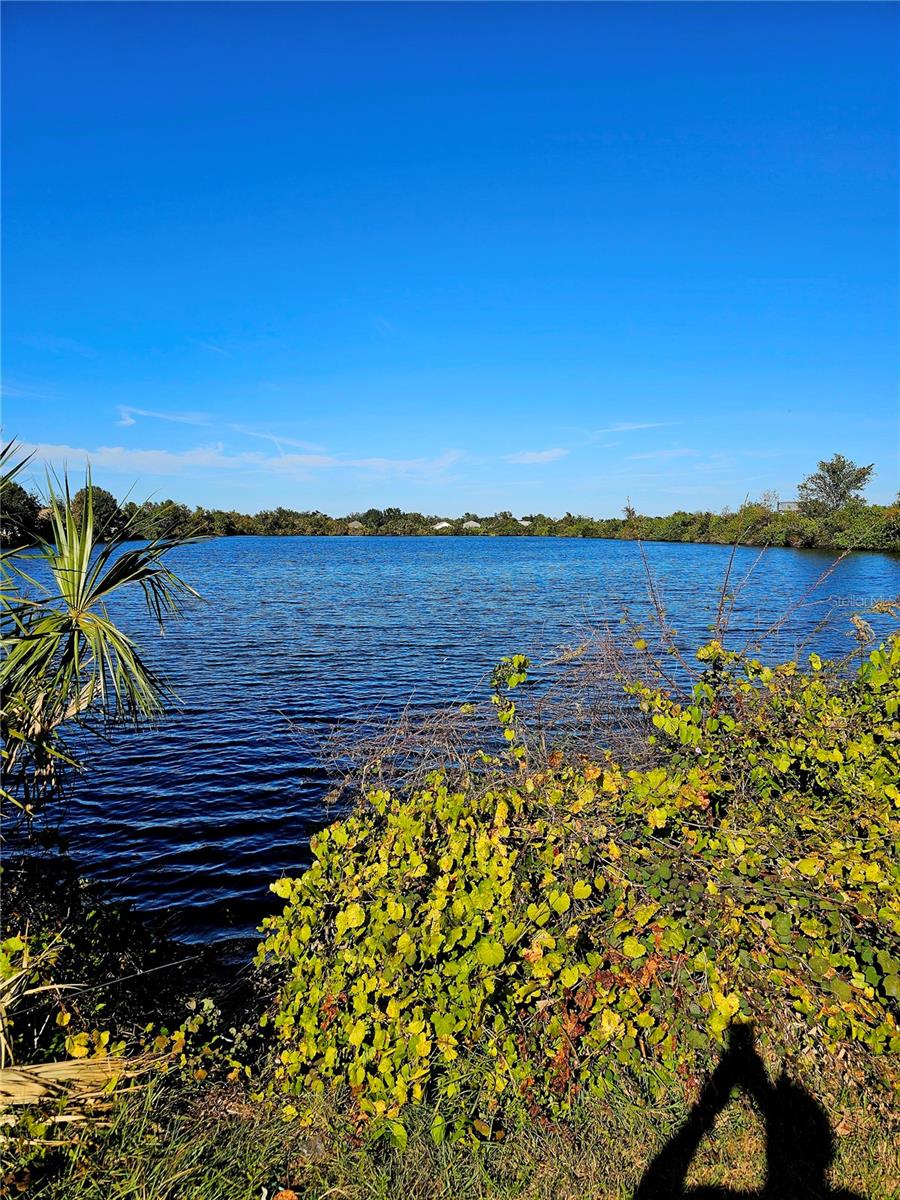 11310 Southwind Lake Dr Property Photo 8