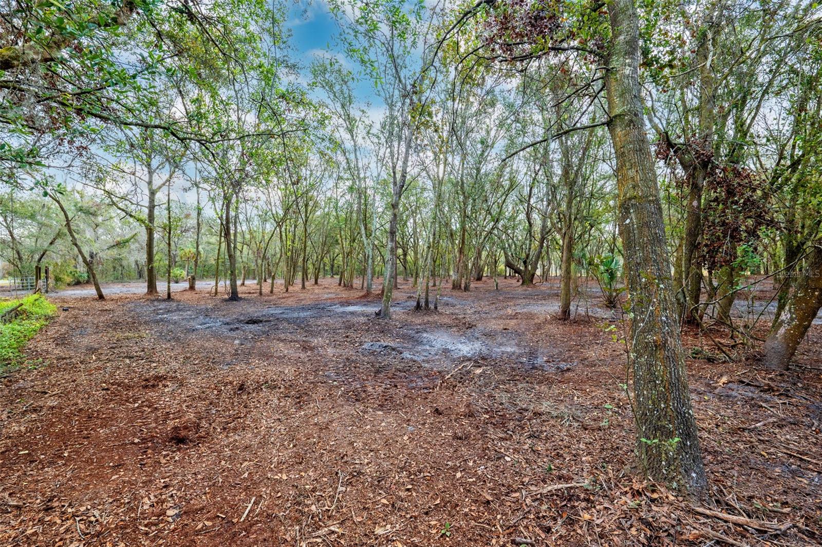 Justin Ln Property Photo 2