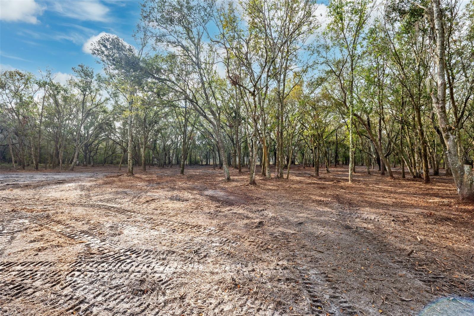 Justin Ln Property Photo 3