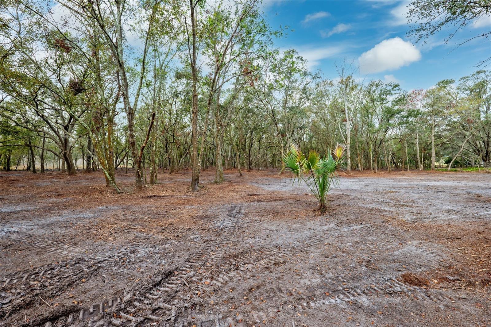 Justin Ln Property Photo 4