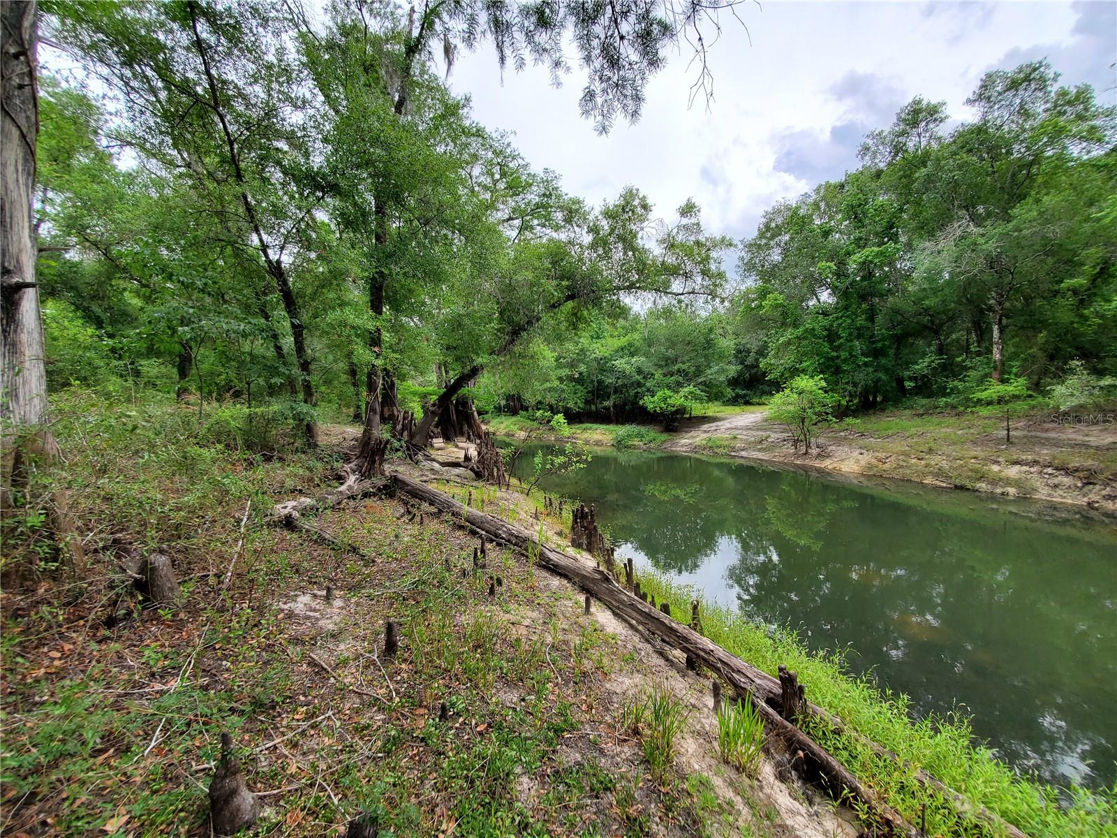 Ringwalt Dr Property Photo 2