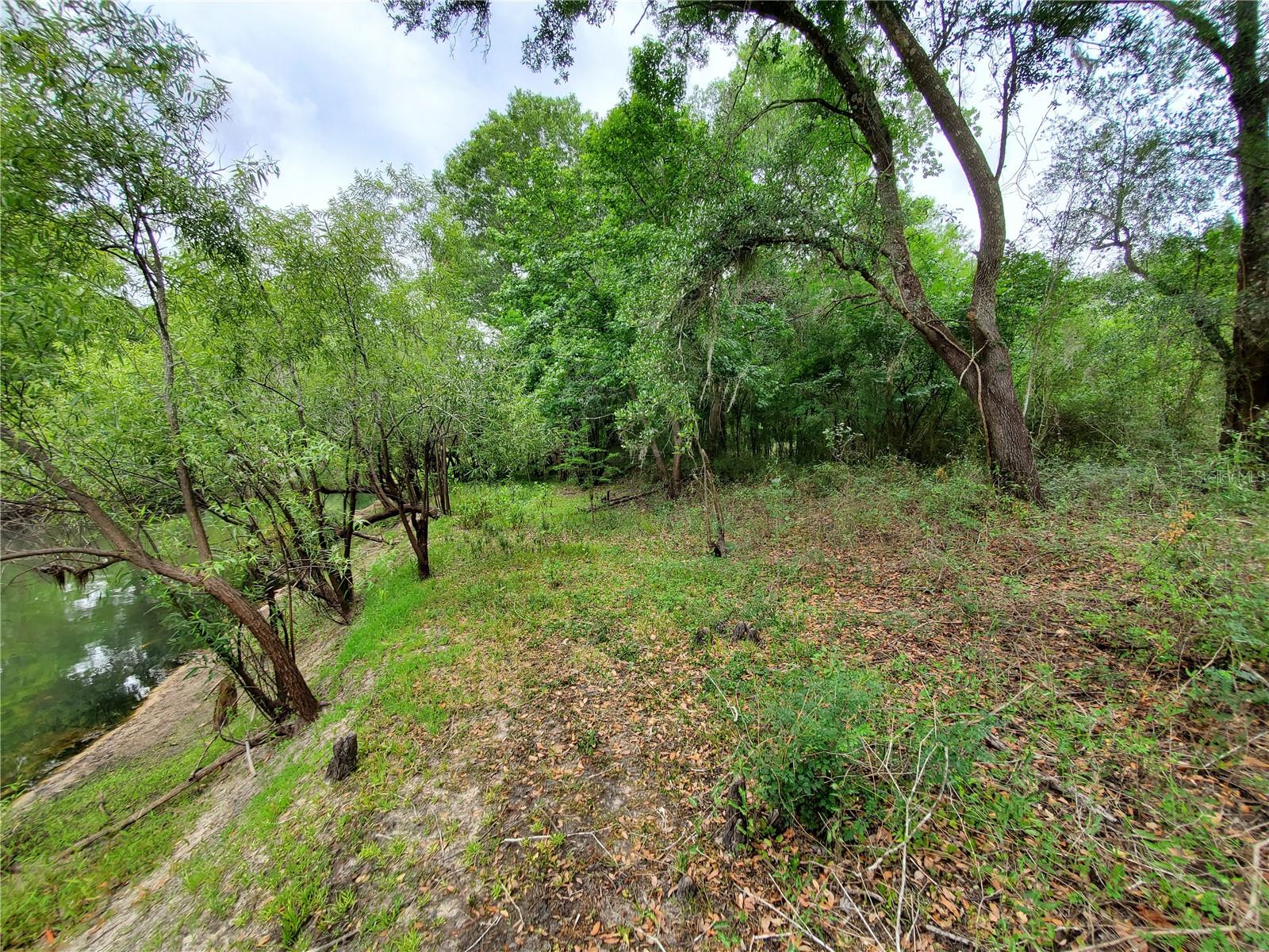 Ringwalt Dr Property Photo 7