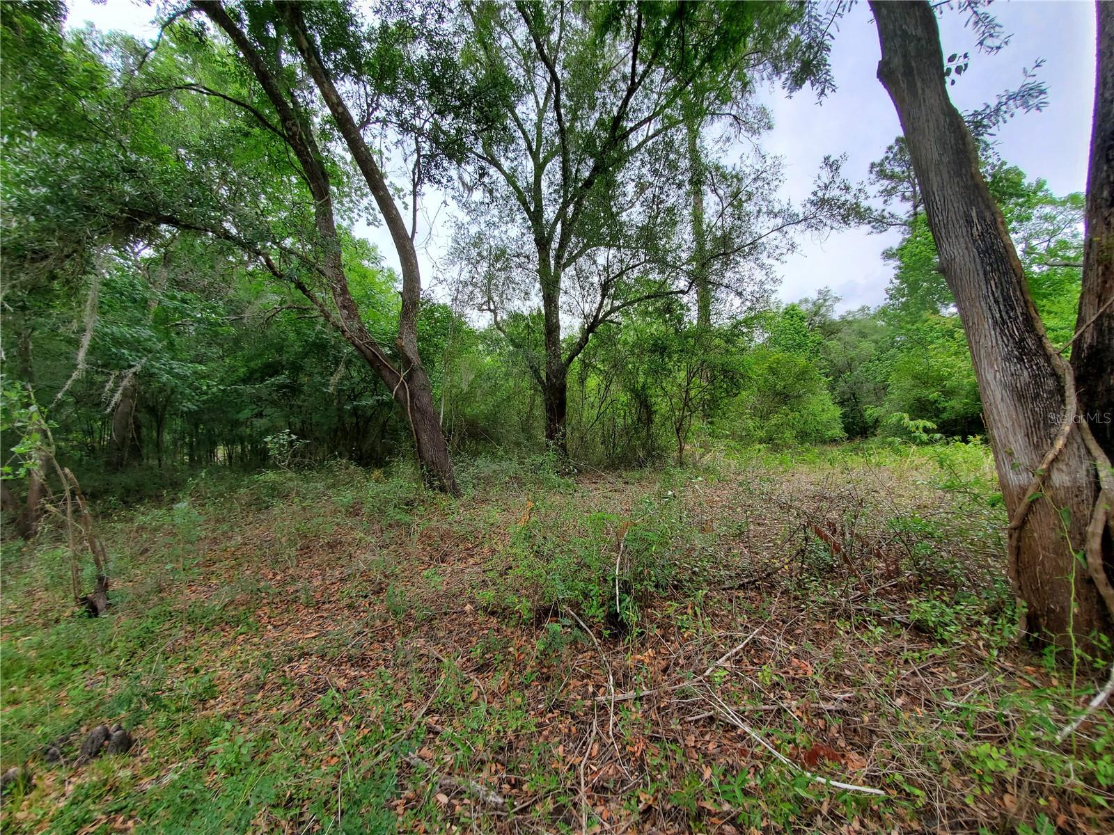 Ringwalt Dr Property Photo 8