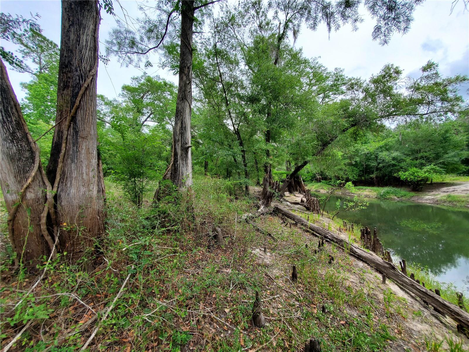 Ringwalt Dr Property Photo 10