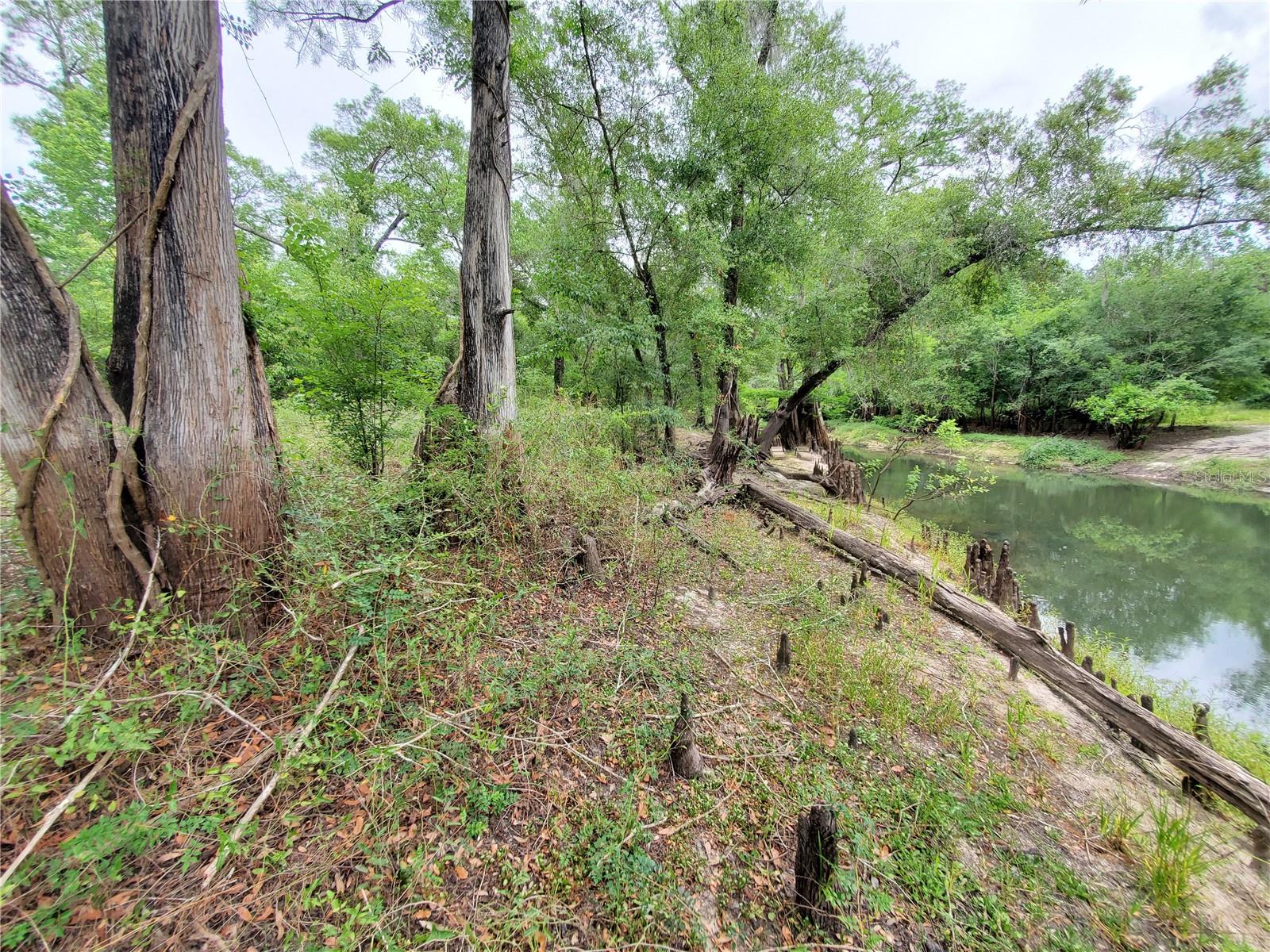 Ringwalt Dr Property Photo 11