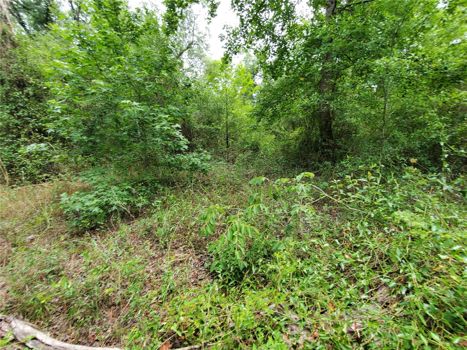 Ringwalt Dr Property Photo 13
