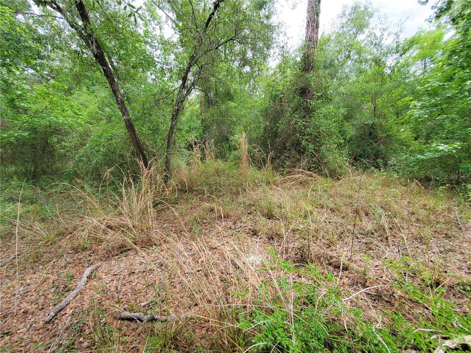 Ringwalt Dr Property Photo 14