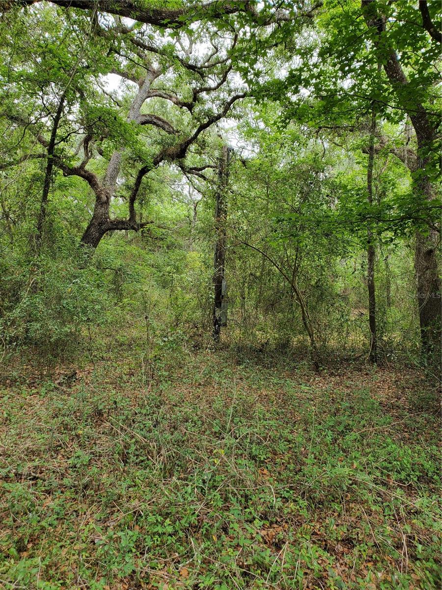 Ringwalt Dr Property Photo 15