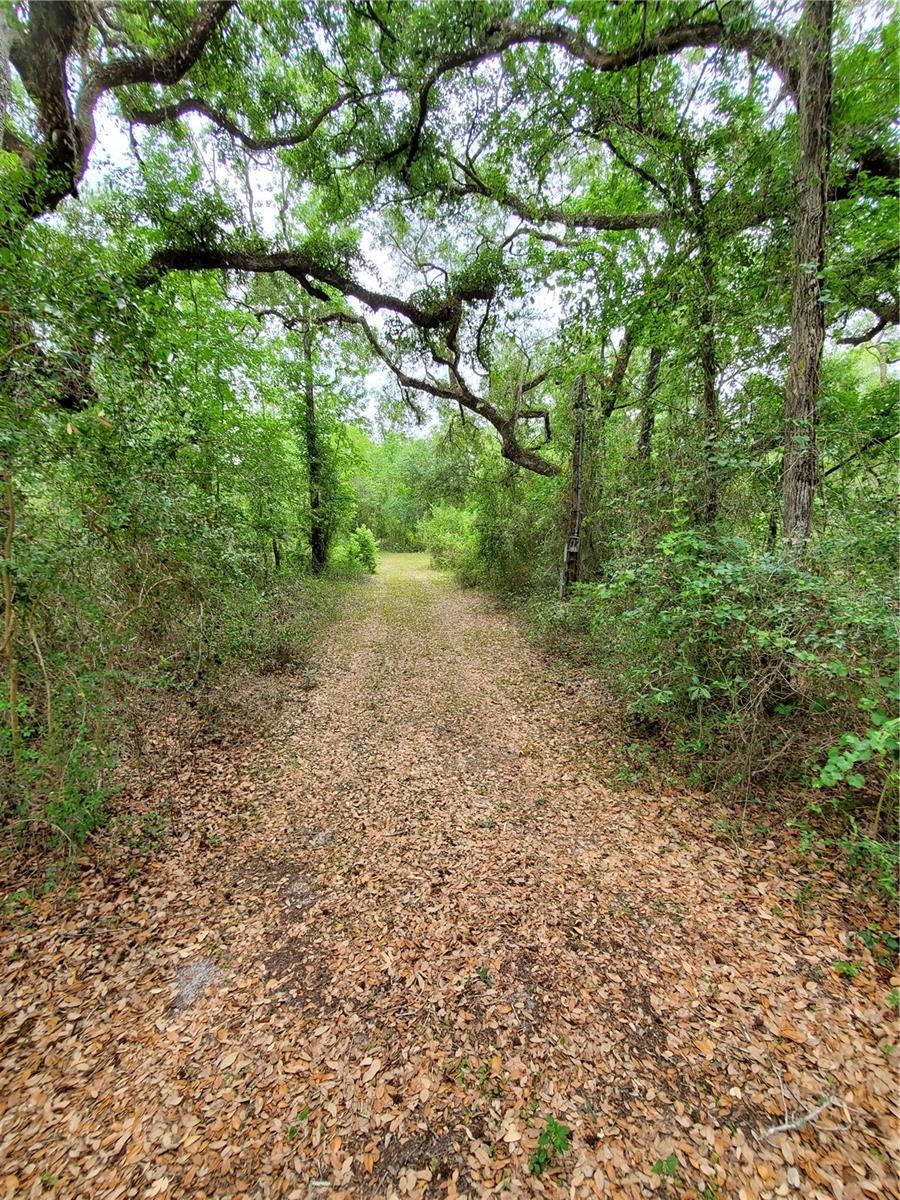 Ringwalt Dr Property Photo 16