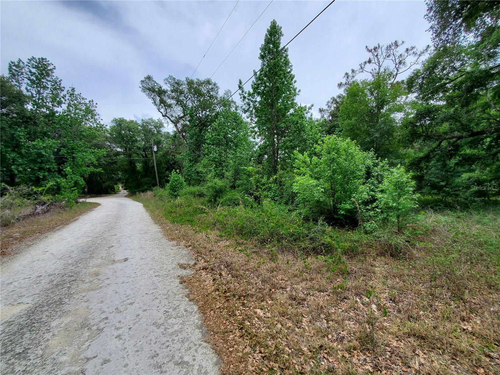 Ringwalt Dr Property Photo 18
