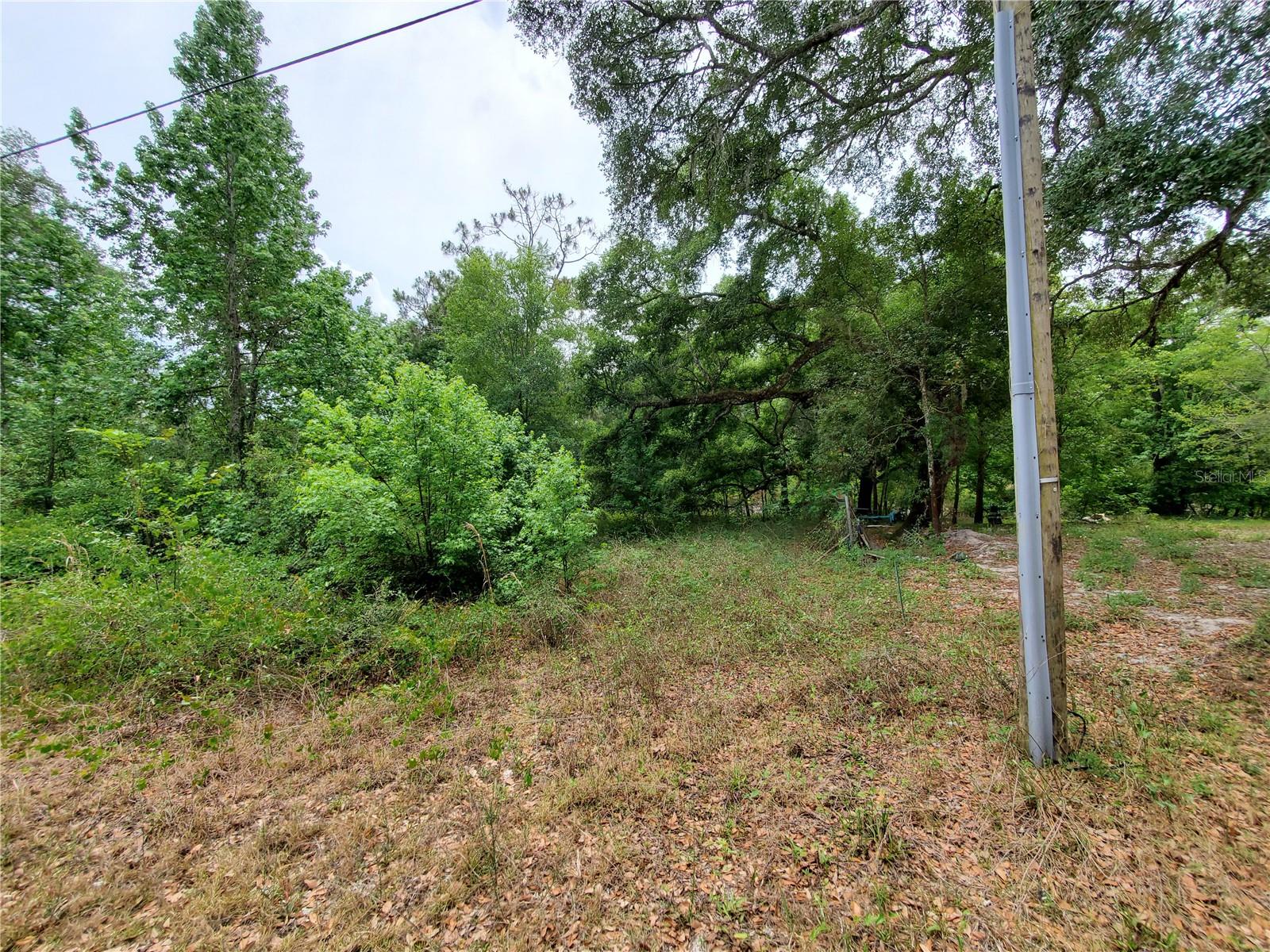Ringwalt Dr Property Photo 19
