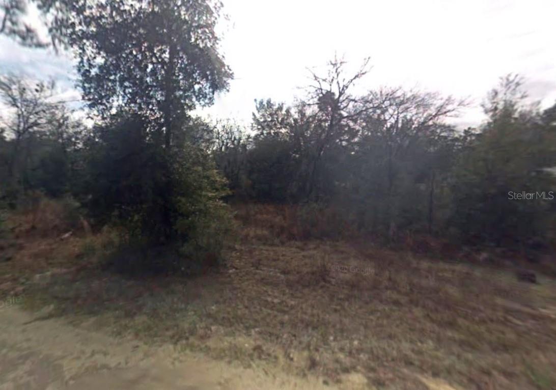 3172 E Gerald Ln Property Photo 4