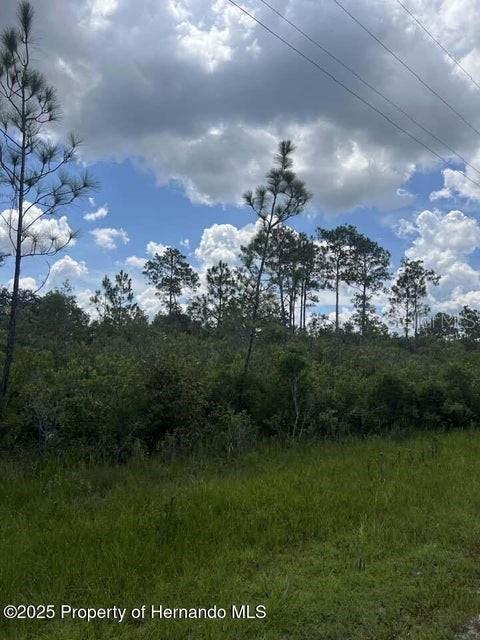 00 Ramsey Rd Property Photo 5