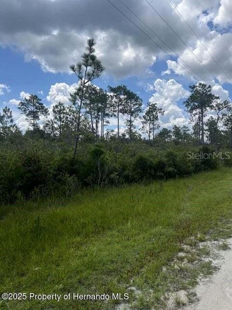 00 Ramsey Rd Property Photo 6