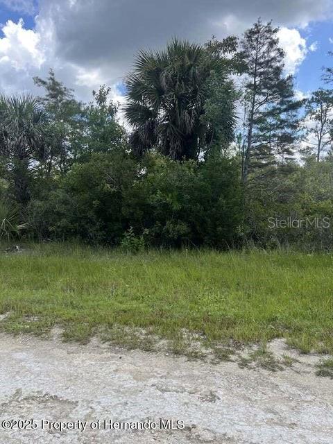00 Ramsey Rd Property Photo 9