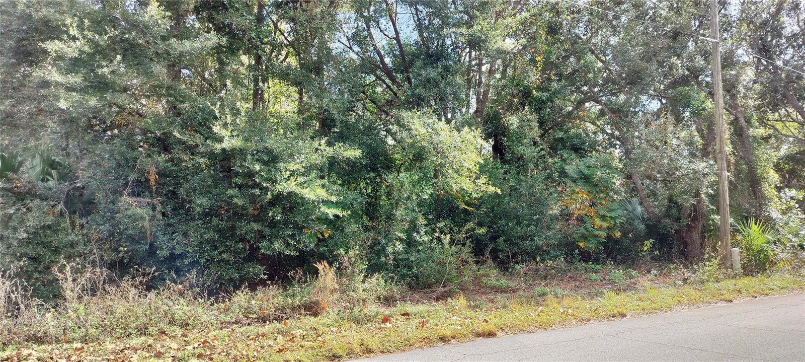 973 N Maynard Ave Property Photo 4