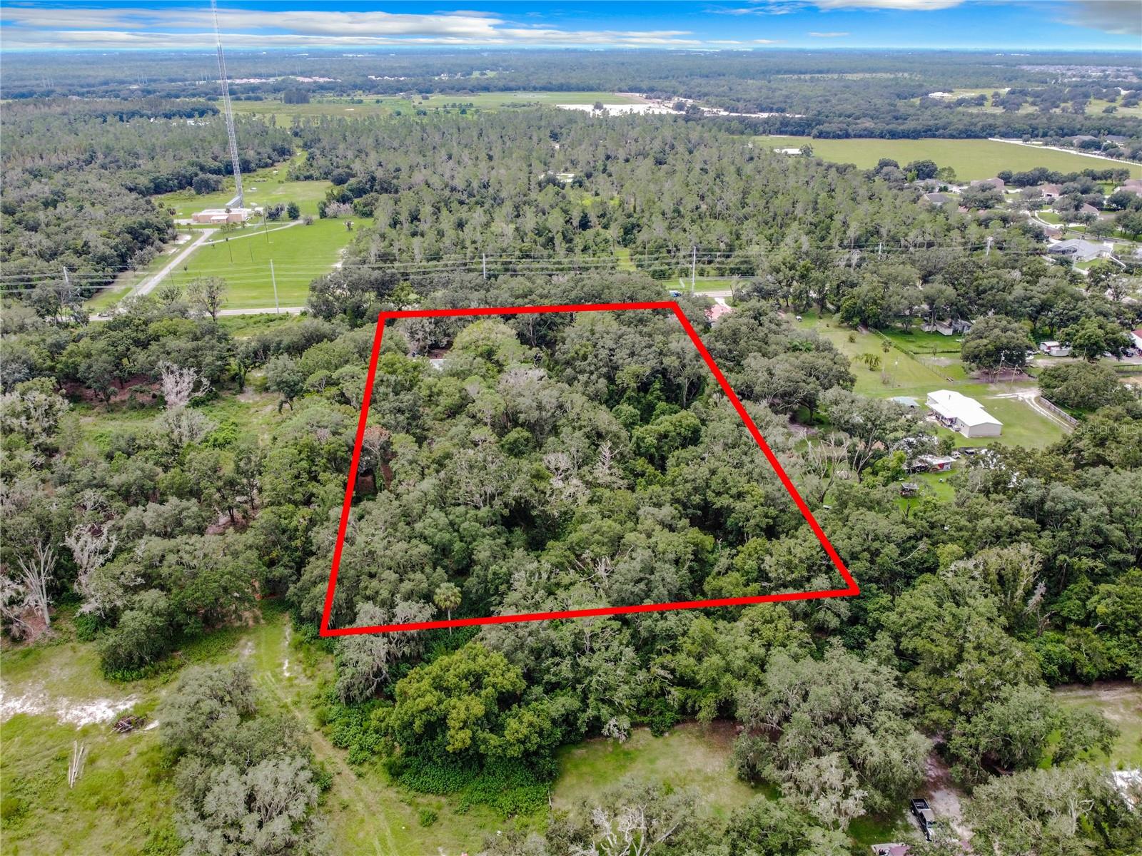 16206 Boyette Rd Property Photo 3