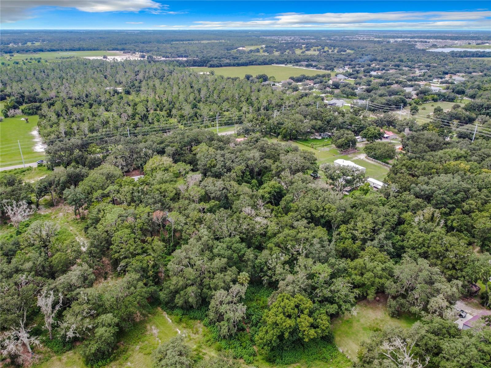 16206 Boyette Rd Property Photo 4