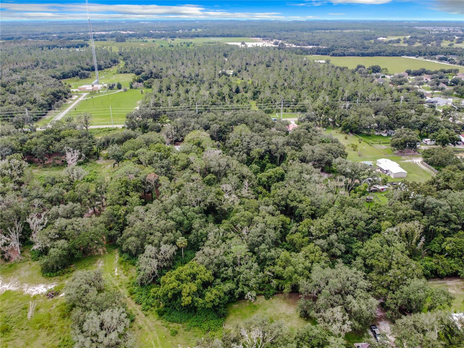 16206 Boyette Rd Property Photo 5