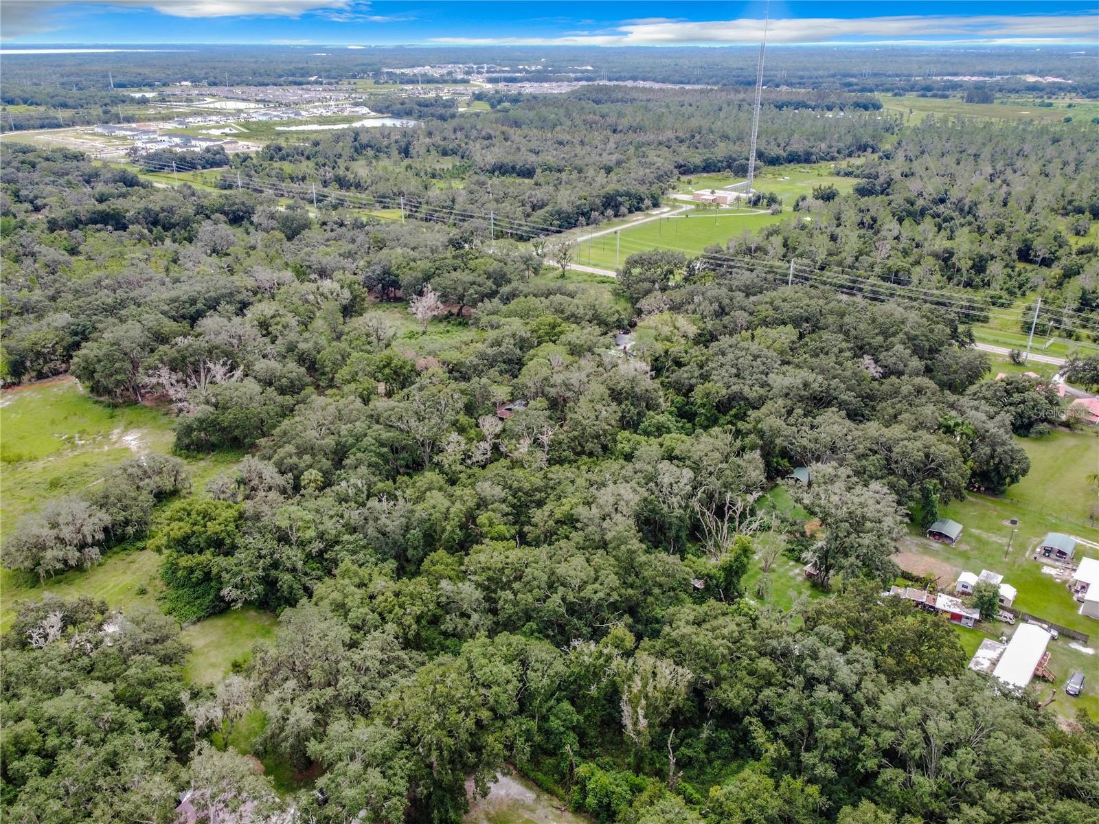 16206 Boyette Rd Property Photo 6