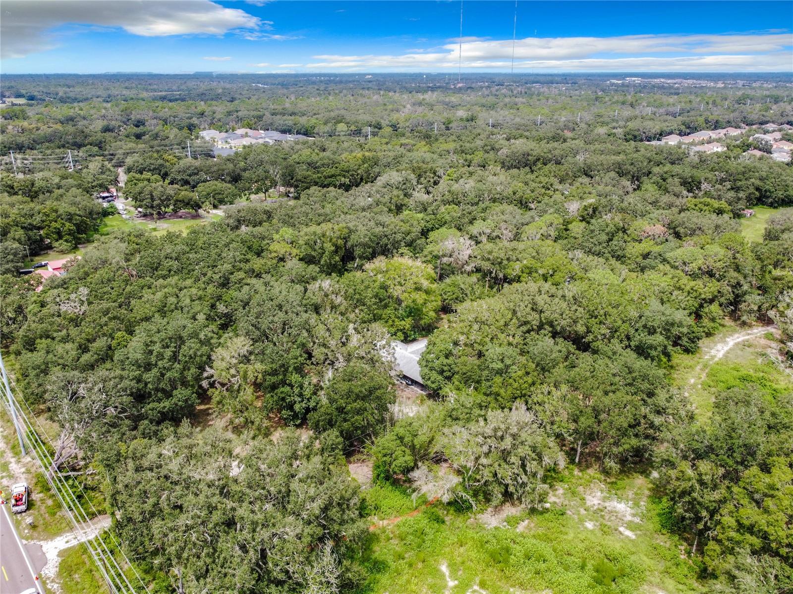 16206 Boyette Rd Property Photo 8