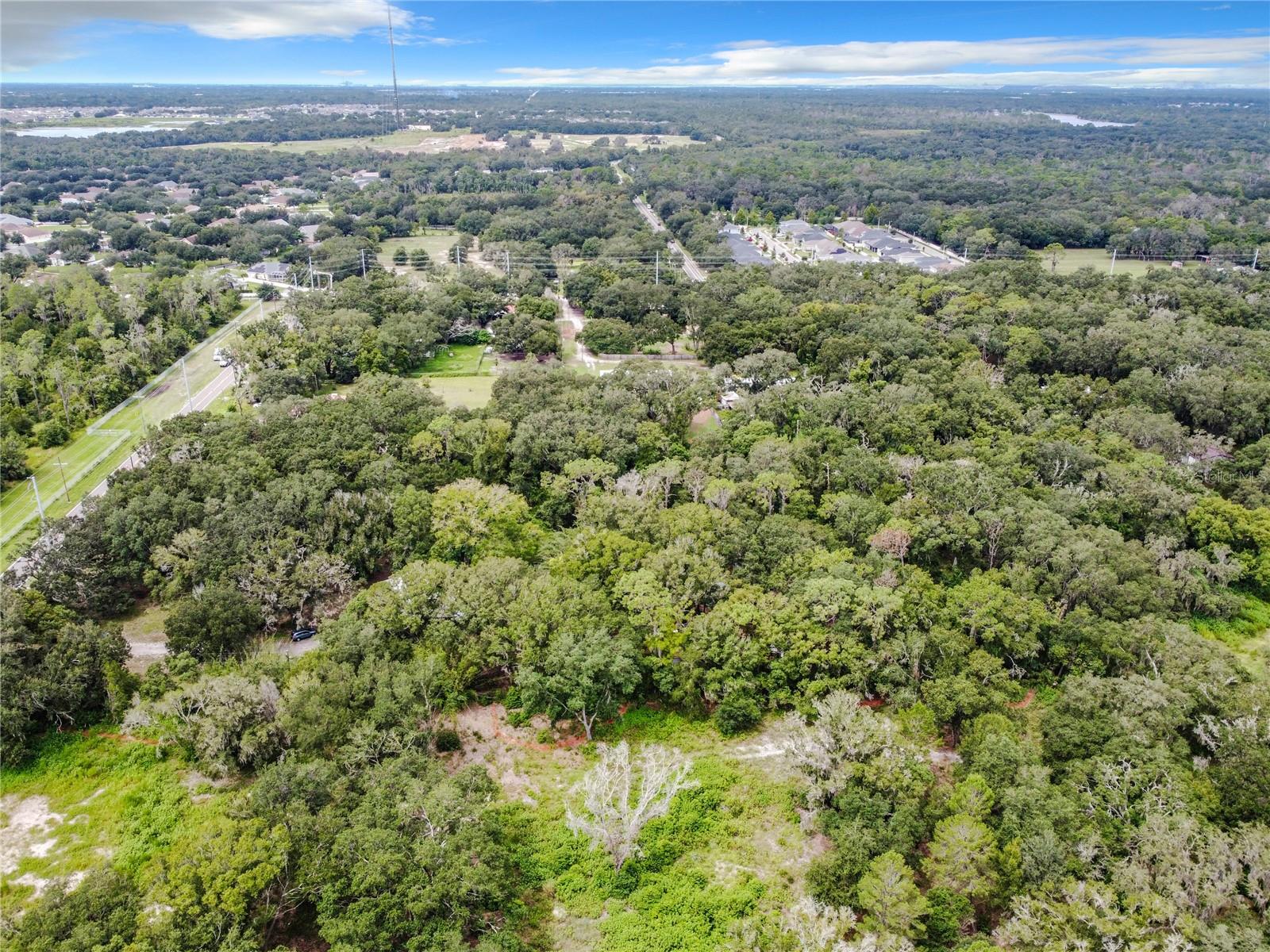 16206 Boyette Rd Property Photo 11