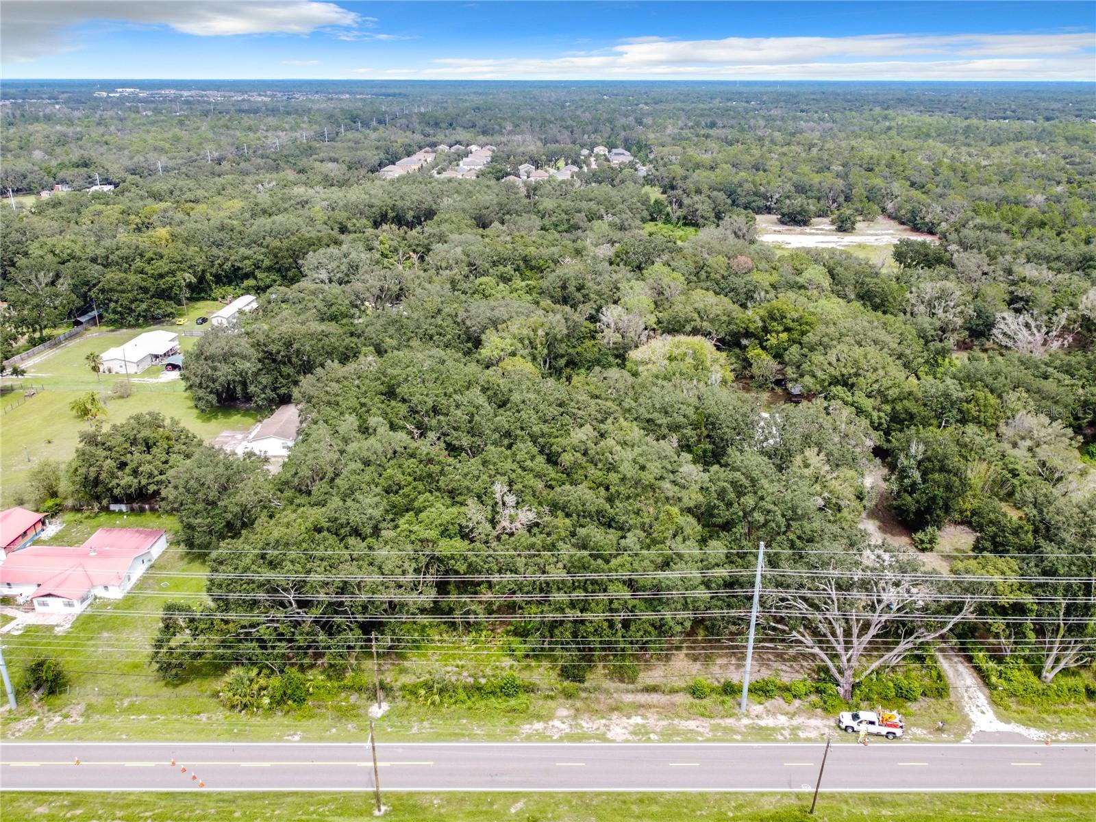 16206 Boyette Rd Property Photo 12