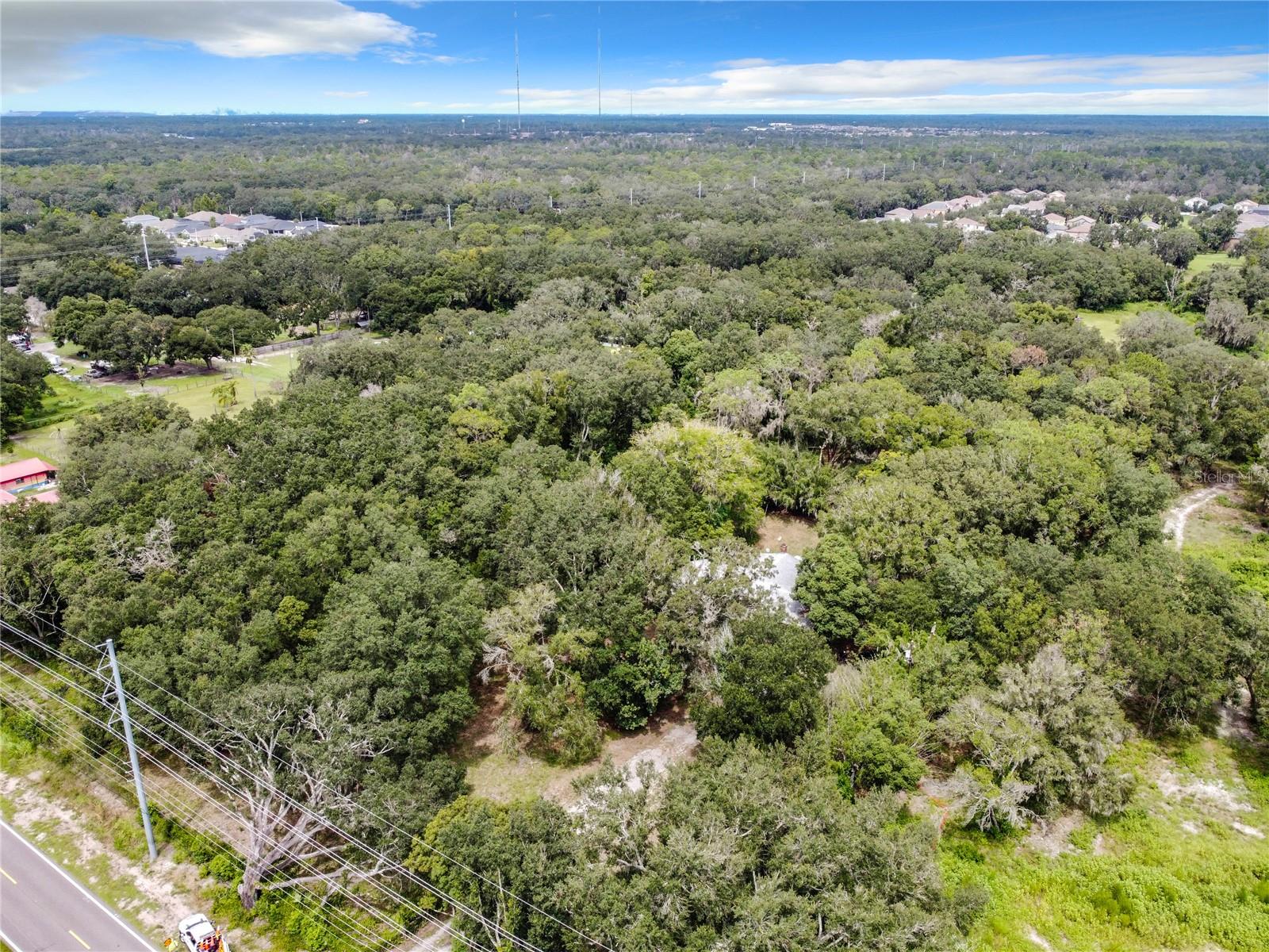 16206 Boyette Rd Property Photo 13
