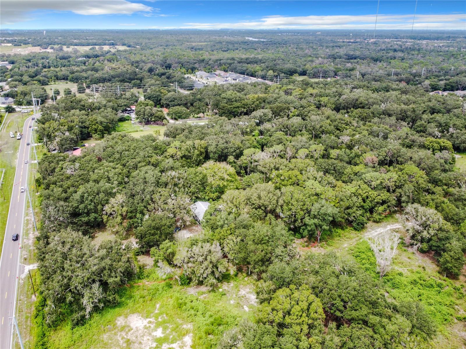 16206 Boyette Rd Property Photo 14