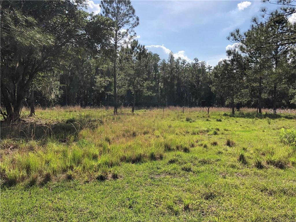 17301 Morris Bridge Rd Property Photo 2