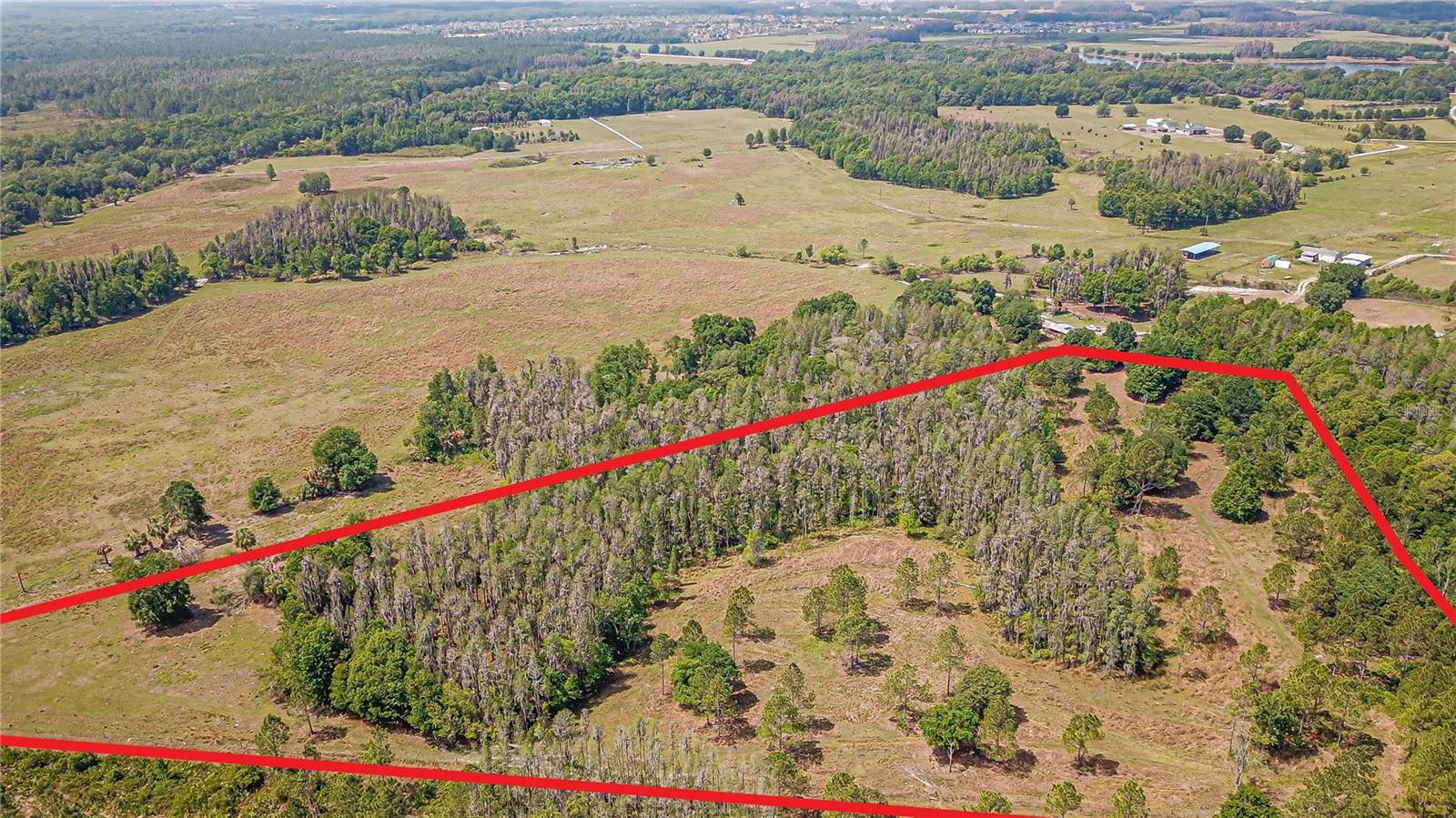 17301 Morris Bridge Rd Property Photo 6