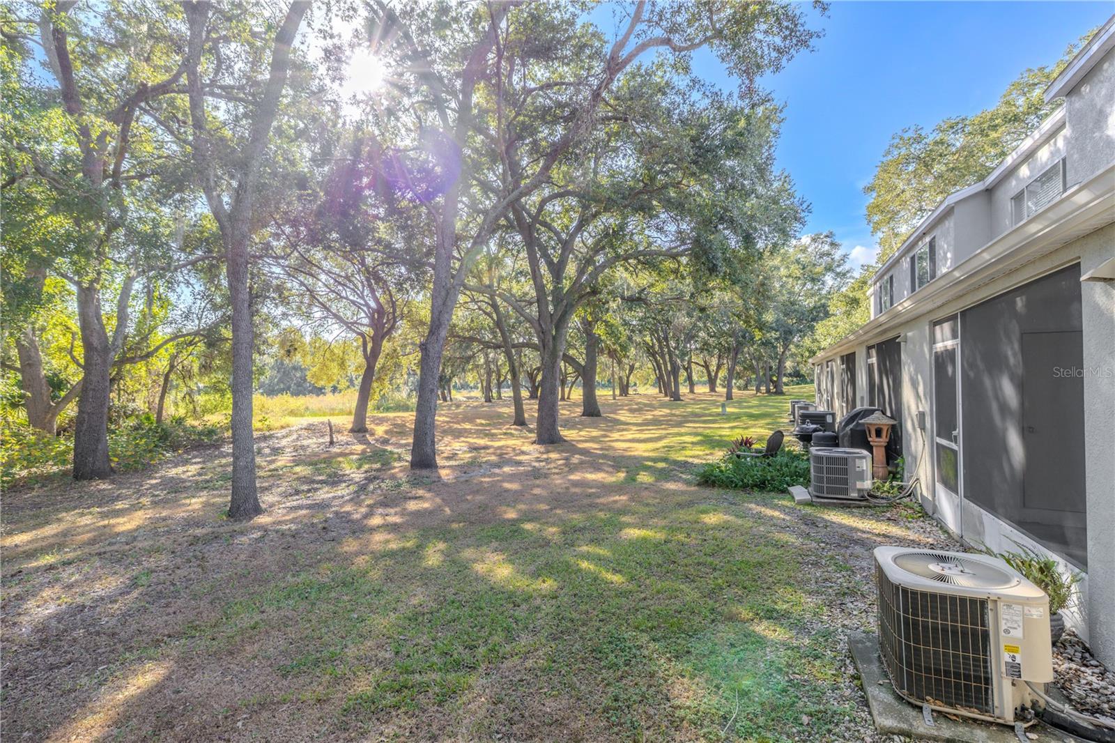 2432 Lake Woodberry Cir Property Photo 13