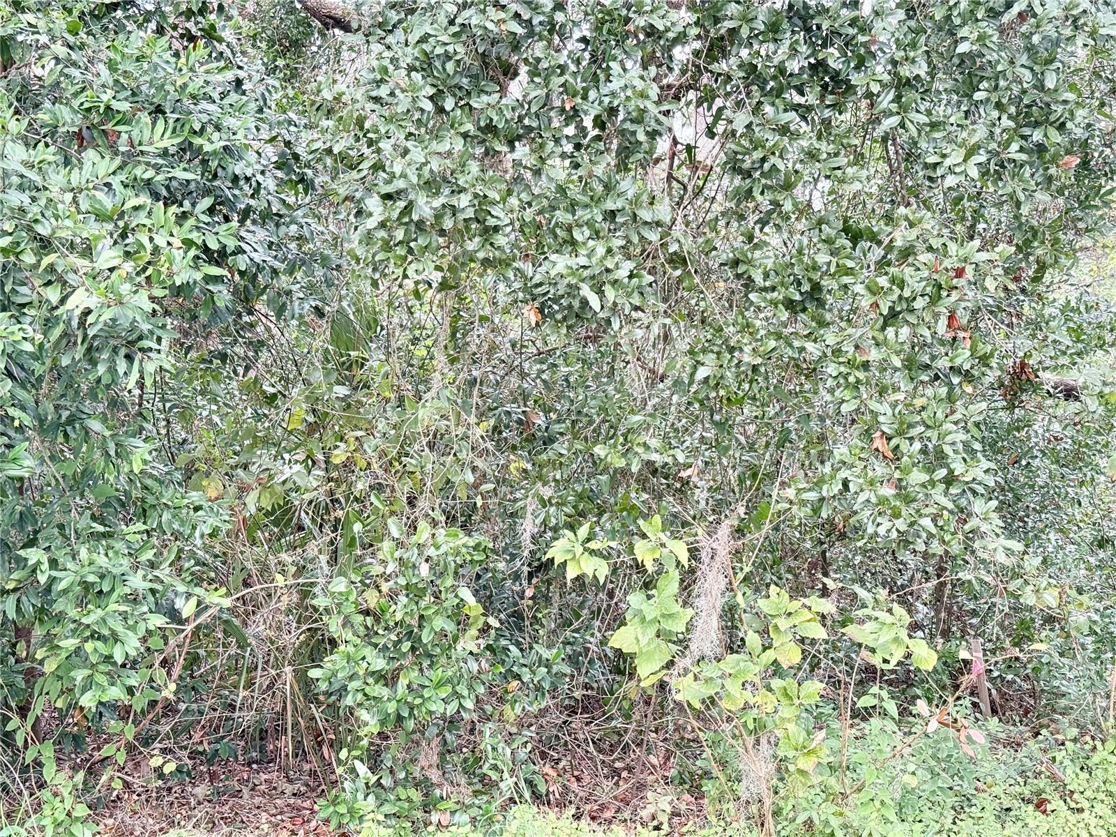 0 Hilda Rd Property Photo 3