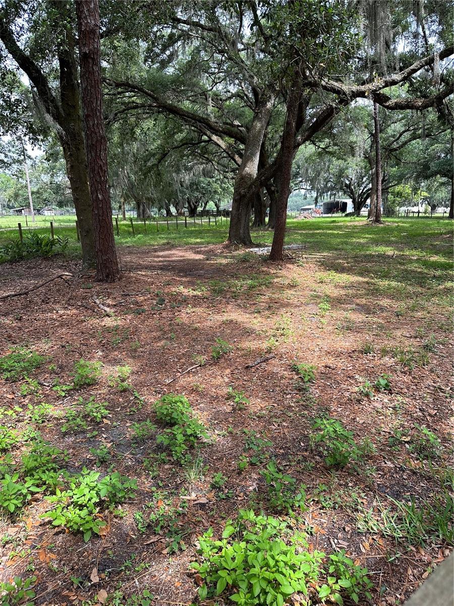Lanier Rd Property Photo 5