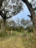 11644 S Us Highway 301 Property Photo 3