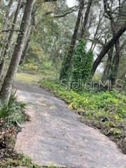 11644 S Us Highway 301 Property Photo 8