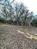 11644 S Us Highway 301 Property Photo 10