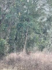 11644 S Us Highway 301 Property Photo 11