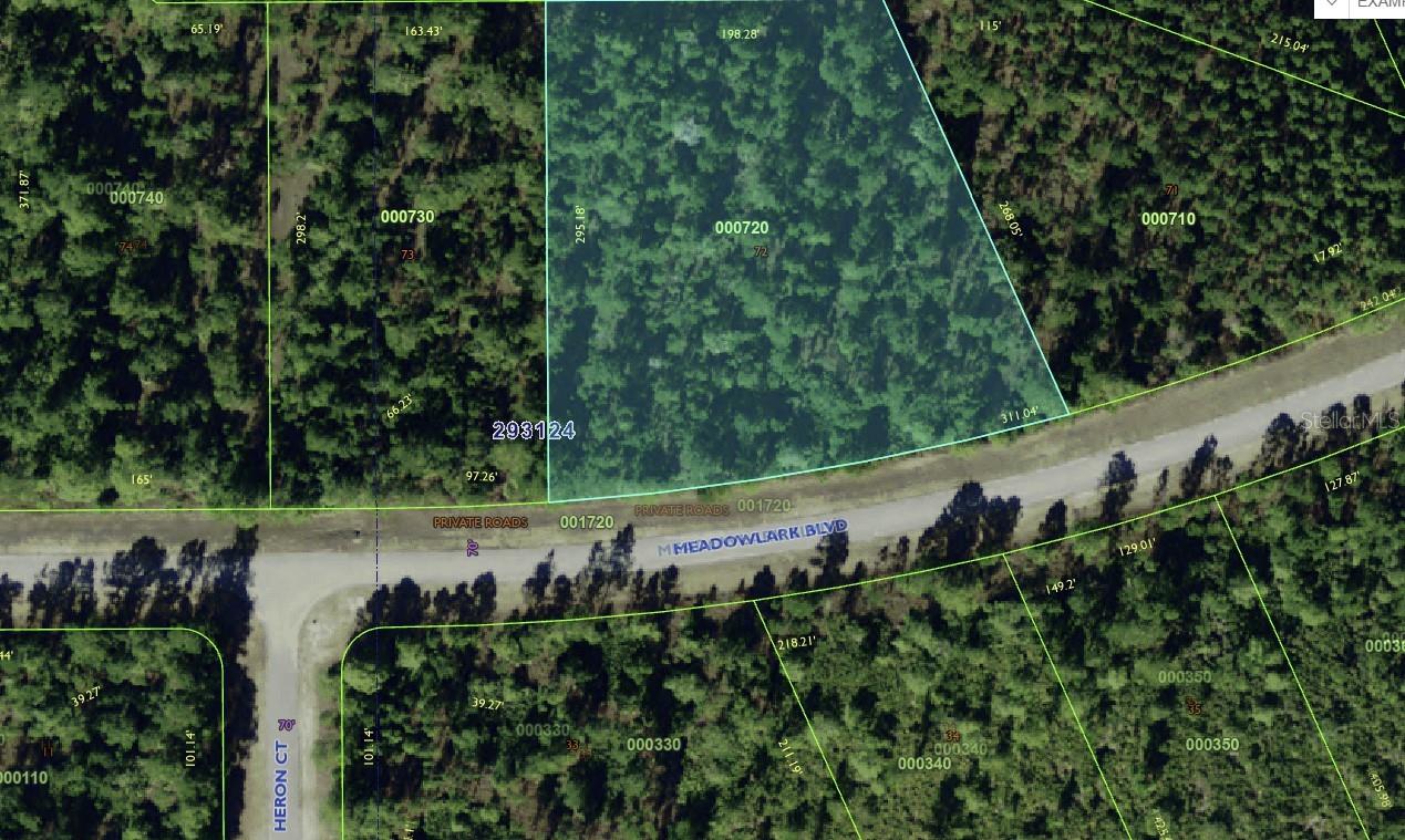 Meadow Lark Blvd Property Photo 1