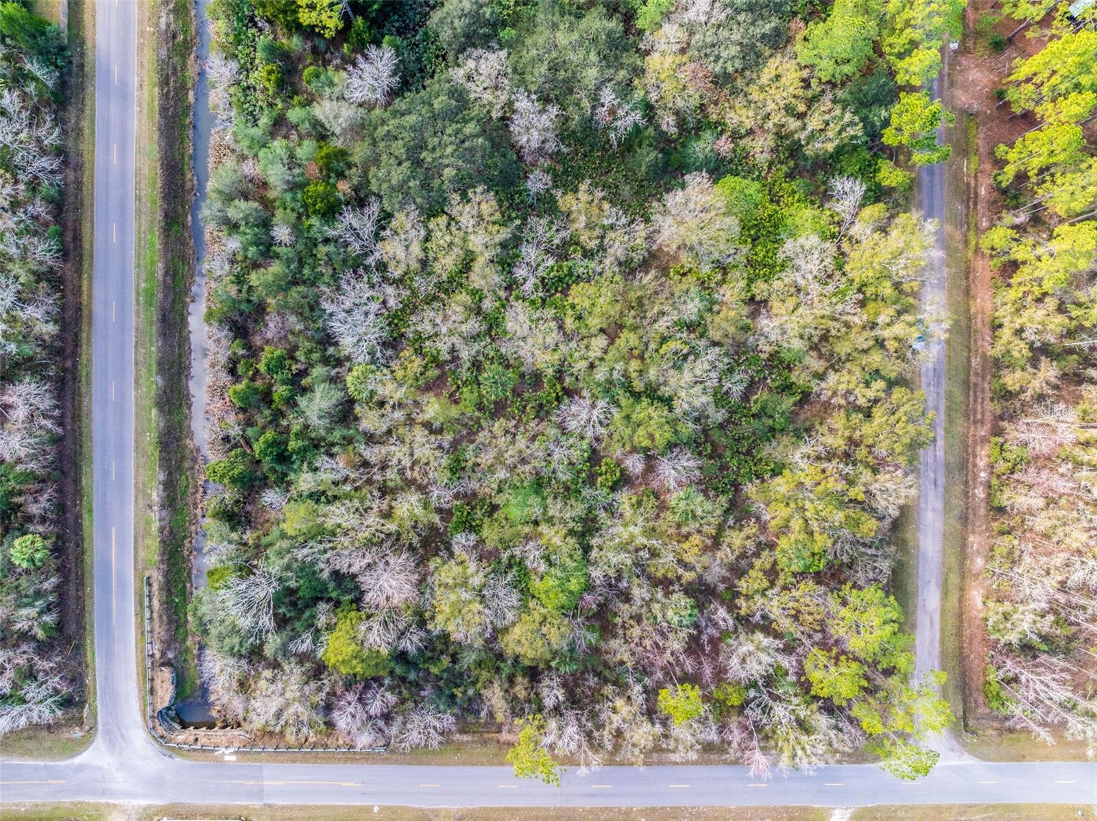 4816 Palatka Blvd Property Photo 4