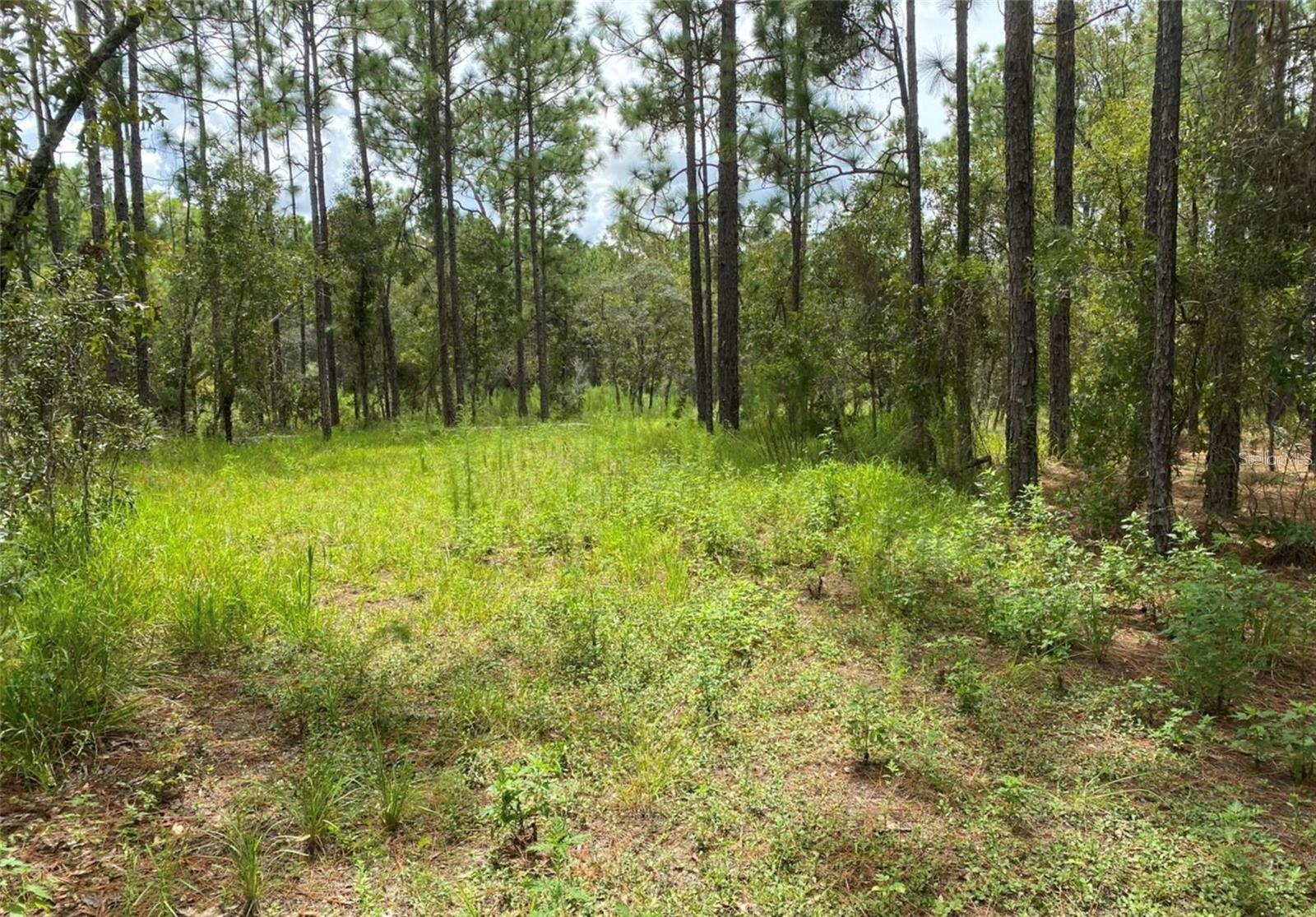 Golddust Rd Property Photo 3
